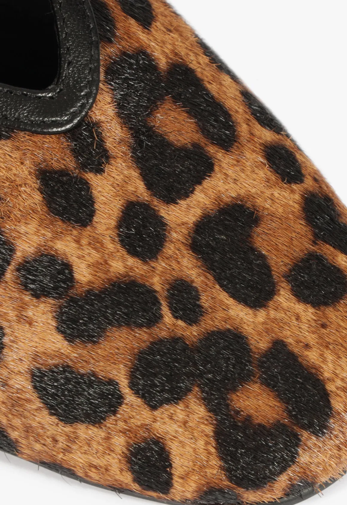 Courtney Buckle Hair Calf Flat